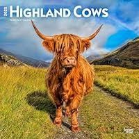 Algopix Similar Product 9 - Highland Cows  2025 12 x 24 Inch