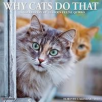 Algopix Similar Product 16 - Why Cats Do That 2023 Wall Calendar