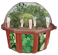 Algopix Similar Product 3 - DuneCraft Dome Terrariums - Herbs