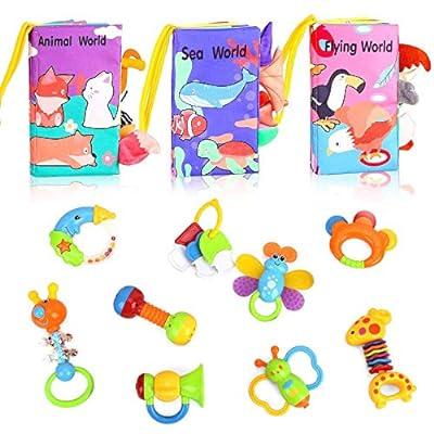 Baby Rattles Toys for 0-6 Months - 18 PCS Infant Toys 0-3 Month Old Baby  Boy Girl Gifts Set with Teething and Wrist Socks Rattle Infant Newborn