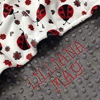 Algopix Similar Product 16 - Ladybug blanket Personalized Baby