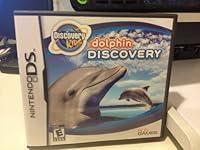 Algopix Similar Product 7 - Discovery Kids Dolphin Discovery 