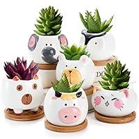 Algopix Similar Product 5 - Mezchi 6 Pack Ceramic Animal Small