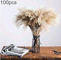 Algopix Similar Product 15 - yunbox299 1Bundle100Pcs Pampas Grass