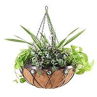 Algopix Similar Product 20 - Arcadia Emerald Series Round Hanging