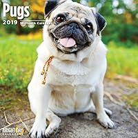 Algopix Similar Product 9 - 2020 Pugs Calendar 16 Month 12 x 12
