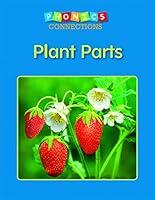 Algopix Similar Product 10 - Plant Parts (Phonics Connections)