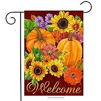 Algopix Similar Product 1 - Briarwood Lane Fall Glory Floral Garden