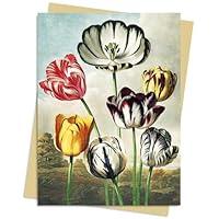 Algopix Similar Product 20 - Temple of Flora Tulips Greeting Card