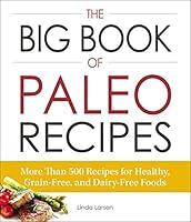 Algopix Similar Product 3 - The Big Book of Paleo Recipes More