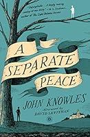Algopix Similar Product 15 - A Separate Peace