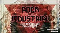 Algopix Similar Product 2 - Rock and Industrial Loops and Samples
