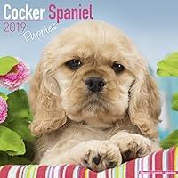 Algopix Similar Product 12 - Cocker Spaniel Puppies Calendar  Dog