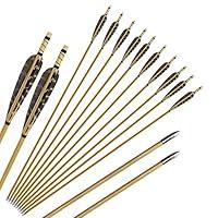Algopix Similar Product 4 - Huntingdoor 12 Pcs Turkey Feather