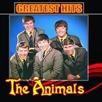 Algopix Similar Product 6 - Greatest Hits