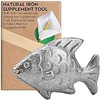 Algopix Similar Product 4 - Iron Fish Cooking Tool to Add Original