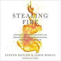 Algopix Similar Product 18 - Stealing Fire How Silicon Valley the