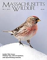 Algopix Similar Product 20 - Massachusetts Wildlife