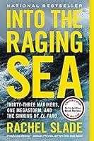 Algopix Similar Product 11 - Into the Raging Sea ThirtyThree