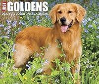 Algopix Similar Product 4 - Just Goldens 2020 Box Calendar Dog