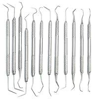 Algopix Similar Product 15 - AAProTools 12 Dental Picks Set 