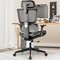 Algopix Similar Product 13 - Ergonomic Office Chair with Lumbar