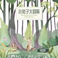 Algopix Similar Product 14 - The Adventure of the Little Bunny