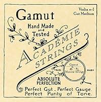 Algopix Similar Product 7 - Academie Violin e-1 Gut Medium Gauge