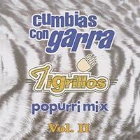 Algopix Similar Product 2 - Cumbias Con Garra 2