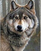 Algopix Similar Product 14 - LVIITIS DIY 5D Diamond Painting Wolf