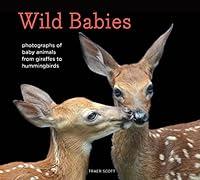 Algopix Similar Product 10 - Wild Babies Photographs of Baby