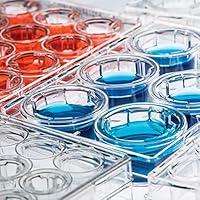 Algopix Similar Product 7 - Grow Cells with Olympus 24Well Tissue