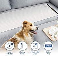 Algopix Similar Product 19 - Balimo Pet Training MatScat Mat for