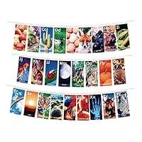 Algopix Similar Product 18 - Excellerations Premium Alphabet Real