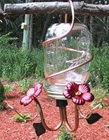 Algopix Similar Product 13 - Perrys Glass  Copper Hummingbird