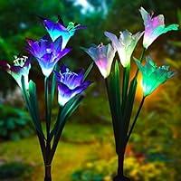 Algopix Similar Product 6 - Outdoor Solar Garden Stake Lights 