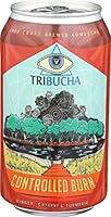 Algopix Similar Product 5 - Tribucha Kombucha Tea Controlled Burn