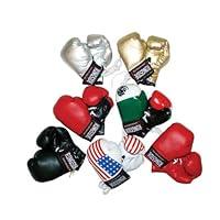 Algopix Similar Product 20 - Ringside Miniature Bag Gloves (Mexico)