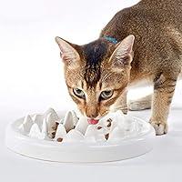 Algopix Similar Product 13 - Cat Slow Feeder Bowl DotPet Ceramic