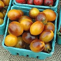 Algopix Similar Product 2 - Tomato Indigo Kumquat F1  Vegetable