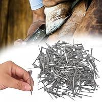 Algopix Similar Product 11 - lukar 250pcs E3 Horseshoe Nails 18