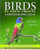 Algopix Similar Product 18 - Birds of North America A Photographic