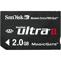 Algopix Similar Product 9 - SanDisk 2 GB Ultra II Memory Stick PRO