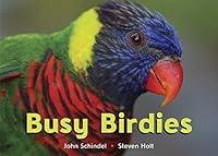 Algopix Similar Product 13 - Busy Birdies (A Busy Book)