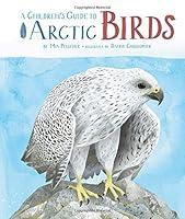 Algopix Similar Product 17 - A Childrens Guide to Arctic Birds by