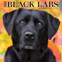 Algopix Similar Product 16 - Just Black Labs 2021 Wall Calendar Dog