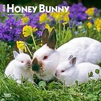 Algopix Similar Product 5 - Honey Bunny 2025 12 X 24 Inch Monthly