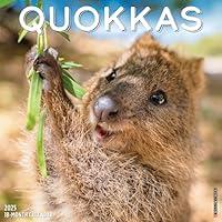 Algopix Similar Product 5 - Willow Creek Press Quokkas Monthly 2025