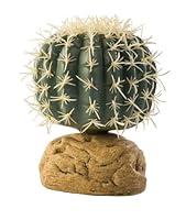 Algopix Similar Product 17 - Exo Terra Barrel Cactus Terrarium