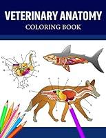 Algopix Similar Product 18 - Veterinary Anatomy Coloring Book A